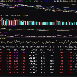 锂矿概念走强 金银河涨逾18%