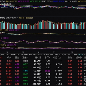 存储芯片概念持续活跃 紫光国微涨超6%