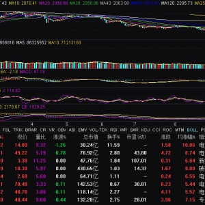 光伏概念异动拉升 福莱特涨停