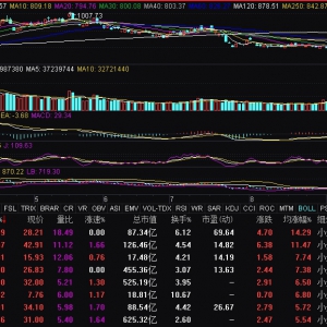 有色金属板块异动拉升 寒锐钴业、华友钴业涨停