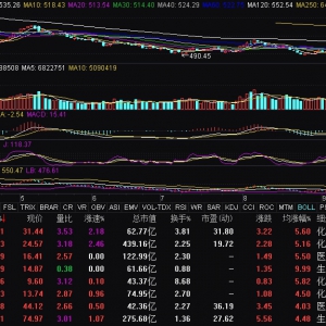 CXO概念震荡走强 昭衍新药、双成药业涨停