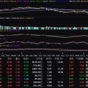 煤炭板块震荡走高 中国神华涨超4%