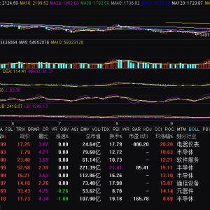 卫星导航概念震荡走强 星宸科技等涨停