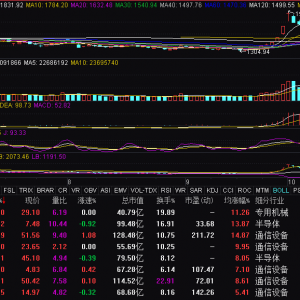 CPO概念走强 铭普光磁涨停