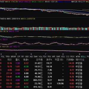 IT设备板块震荡走高 中科曙光涨停
