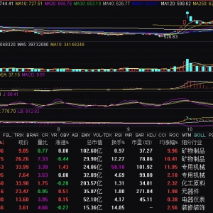稀土永磁概念开盘活跃 盛和资源、英洛华三连板