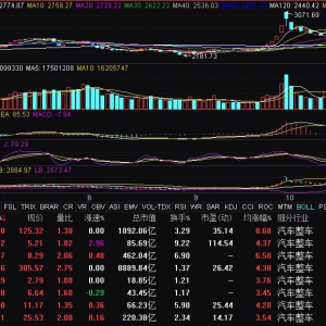 汽车整车股盘初拉升，赛力斯触及涨停
