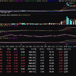 券商股异动拉升 东兴证券涨停