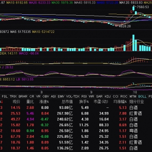 酿酒板块异动拉升 金种子酒、百润股份涨停