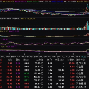 锂矿概念走高 永杉锂业涨停