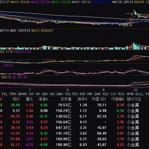 能源金属概念盘初活跃 威领股份涨停