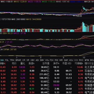 液冷服务器概念震荡走强 英维克涨停
