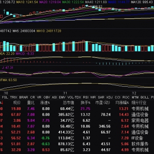 液冷服务器板块大涨 锐捷网络等涨停