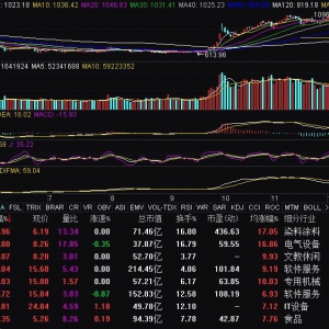 2024年12月30日算力租赁领涨 奥飞数据等涨停