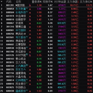 2024年12月30日沪深股市主力资金净流入前25名
