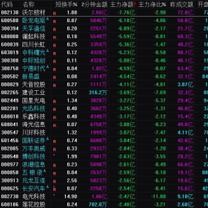 2024年12月30日沪深股市主力资金净流出前25名