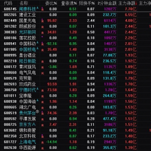 2024年12月31日沪深股市主力资金净流入前25名