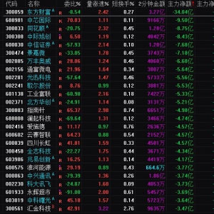2024年12月31日沪深股市主力资金净流出前25名