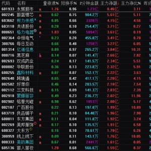 2025年1月2日沪深股市主力资金净流入前25名