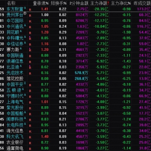 2025年1月2日沪深股市主力资金净流出前25名