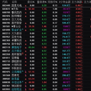 2025年1月3日沪深股市主力资金净流入前25名