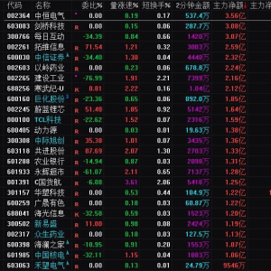 2025年1月6日沪深股市主力资金净流入前25名