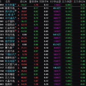 2025年1月6日沪深股市主力资金净流出前25名