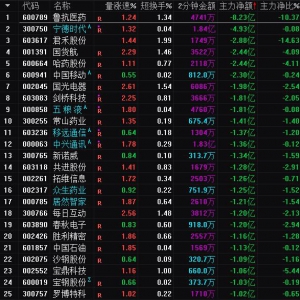 2025年1月7日沪深股市主力资金净流出前25名