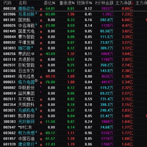 2025年1月8日沪深股市主力资金净流入前25名