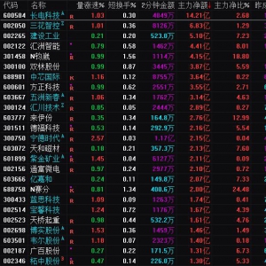 2025年1月10日沪深股市主力资金净流入前25名