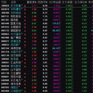 2025年1月10日沪深股市主力资金净流出前25名