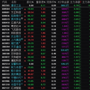 2025年1月13日沪深股市主力资金净流出前25名