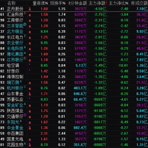 2025年1月14日沪深股市主力资金净流出前25名