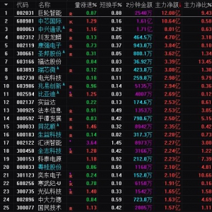 2025年1月17日沪深股市主力资金净流入前25名