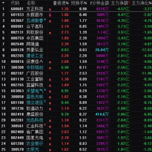 2025年1月17日沪深股市主力资金净流出前25名