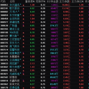 2025年1月21日沪深股市主力资金净流入前25名