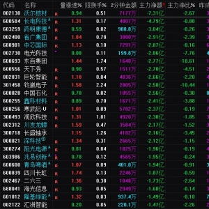 2025年1月21日沪深股市主力资金净流出前25名