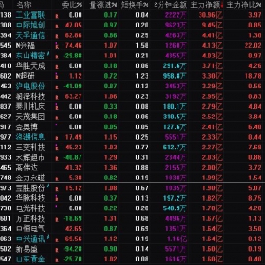 2025年1月21日沪深股市主力资金净流入前25名