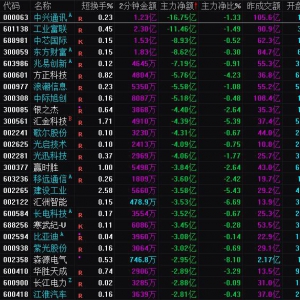 2025年1月23日沪深股市主力资金净流出前25名