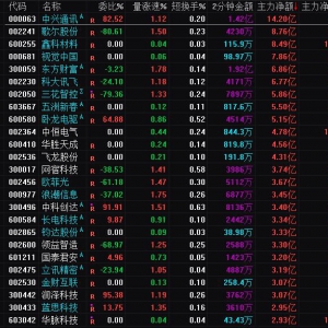 2025年1月24日沪深股市主力资金净流入前25名