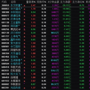 2025年1月27日沪深股市主力资金净流出前25名