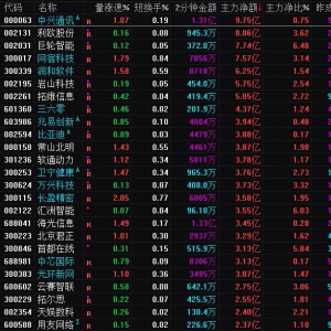 2025年2月5日沪深股市主力资金净流入前25名