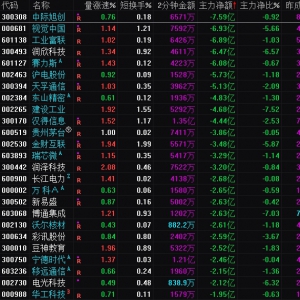 2025年2月5日沪深股市主力资金净流出前25名