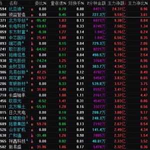 2025年2月6日沪深股市主力资金净流入前25名