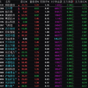 2025年2月6日沪深股市主力资金净流出前25名