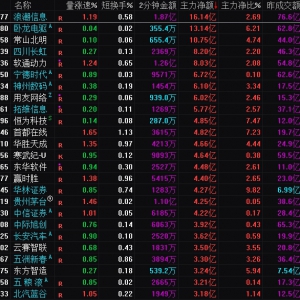 2025年2月7日沪深股市主力资金净流入前25名