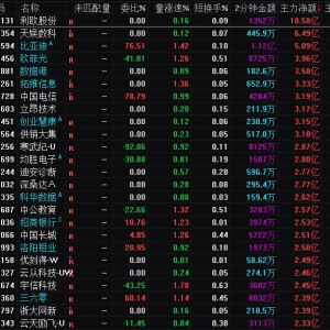 2025年2月10日沪深股市主力资金净流入前25名