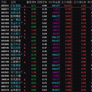 2025年2月11日沪深股市主力资金净流入前25名