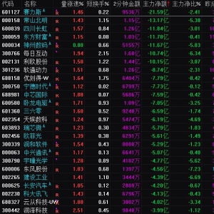 2025年2月11日沪深股市主力资金净流出前25名
