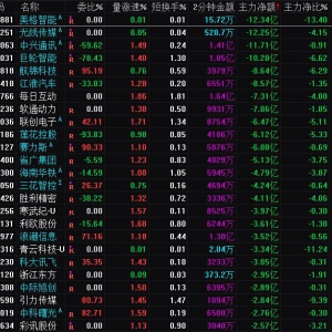 2025年2月12日沪深股市主力资金净流出前25名